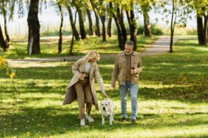 A couple and a dog walking in a park.