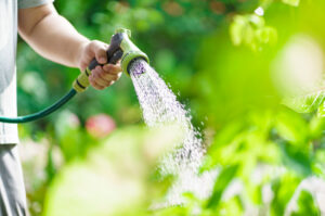 A man watering outdoor plants.
